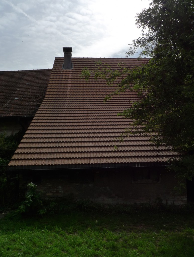 Rückseite des Hauses Wyttenbach
